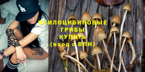 таблы Алзамай