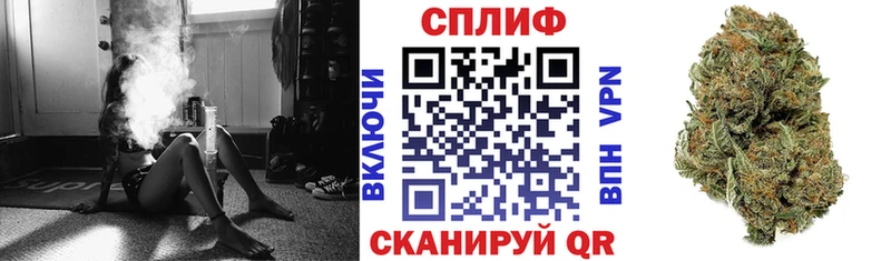 цены наркотик  Циолковский  Бошки марихуана сатива 
